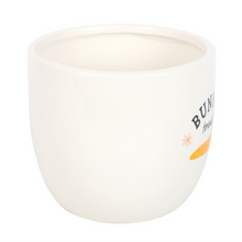 Load image into Gallery viewer, Bunny Treats Ceramic Pot
