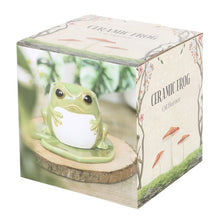 Load image into Gallery viewer, Frog Shaped Oil Burner on Lily Pad Wax Warmer