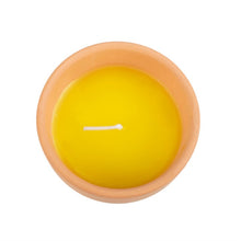 Load image into Gallery viewer, Gardener of the Year Citronella Candle