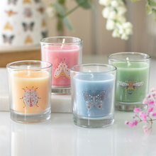 Load image into Gallery viewer, Set of 4 Floral Bug Mandarin & Bergamot Candles