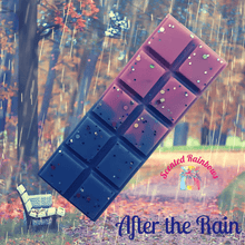 Load image into Gallery viewer, After The Rain Wax Melt Snap Bar - Strong wax melt fragrance