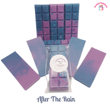 Load image into Gallery viewer, After The Rain Wax Melt Snap Bar - Scented Rainbows