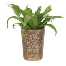 Load image into Gallery viewer, Tree of Life Bronze Terracotta Plant Pot by Lisa Parker