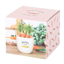 Load image into Gallery viewer, Bunny Treats Ceramic Pot

