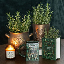 Load image into Gallery viewer, Herbal Magic Bronze Effect Terracotta Cauldron Plant Pot
