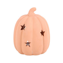 Load image into Gallery viewer, 9cm Terracotta Pumpkin Tealight Holder
