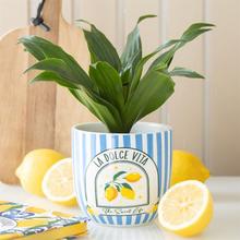 Load image into Gallery viewer, Blue Striped La Dolce Vita Plant Pot
