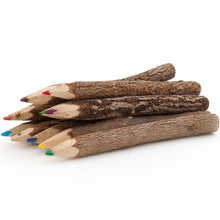 Load image into Gallery viewer, Set of 10 Twig Pencils
